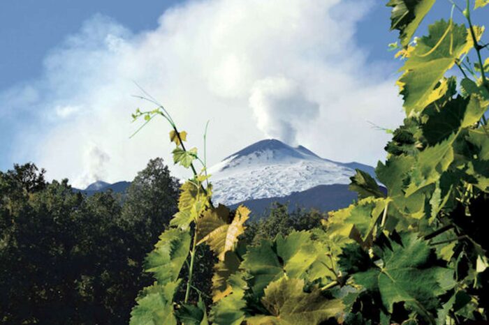 Tour Etna & Its Wine