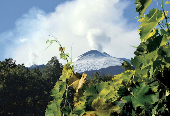 Excursiones Etna de un dia